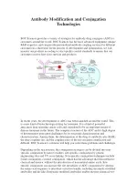 adc methods - slide 1