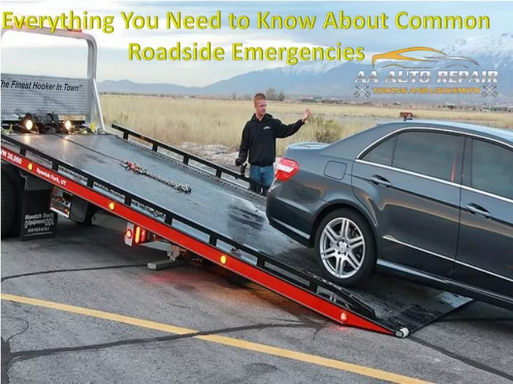everything you need to know about common roadside