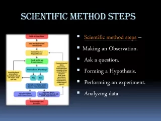 Scientific Method Steps