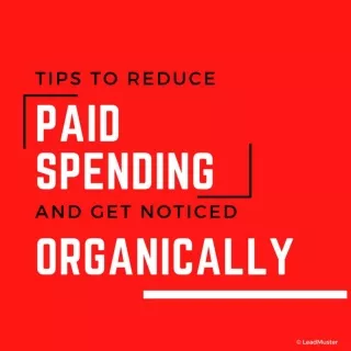 Tips To Reduce Paid Spending And Get Noticed Organically | LeadMuster
