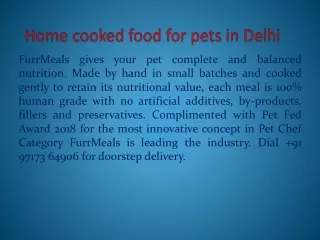 home cooked food for pets in delhi
