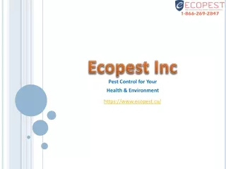 Pest Control for Your Health & Environment - Ecopest Inc