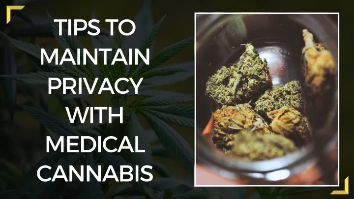 tips to maintain privacy with medical cannabis