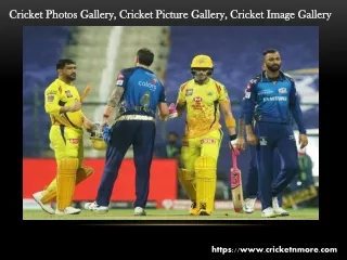 cricket photos cricket photos gallery