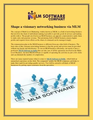 shape a visionary networking business