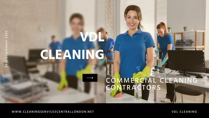 vdl cleaning