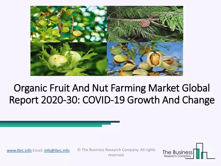 organic fruit and nut farming market global report 2020 30 covid 19 growth and change