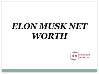 elon musk net worth