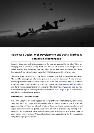 Kozlo Web Design- Web Development and Digital Marketing Services in Bloomingdale