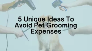 5 uniq ue ideas to avoid pet grooming expenses
