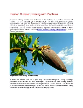 Roatan Cuisine Cooking with Plantains