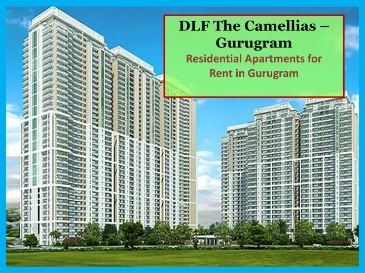 dlf the camellias gurugram residential apartments