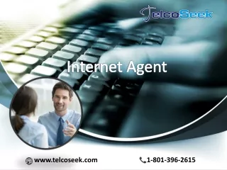 Professional Internet Agent ready to assist you for choose best packages - TelcoSeek