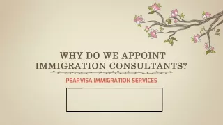 why do we appoint immigration consultants