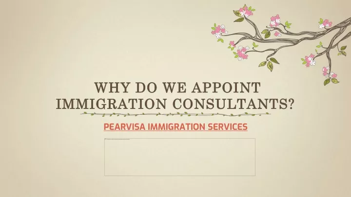 why do we appoint immigration consultants