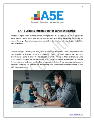 SAP Business Integration for Large Enterprise