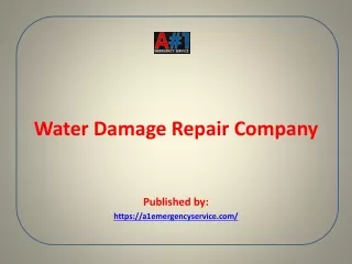 Water Damage Repair Company