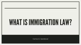 What is Immigration Law? - Carlos E. Sandoval