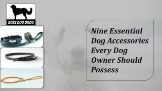 Nine Essential Dog Accessories Every Dog Owner Should Possess