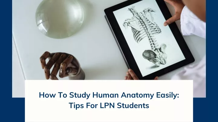 how to study human anatomy easily tips