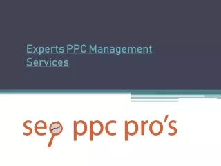 Experts PPC Management Services