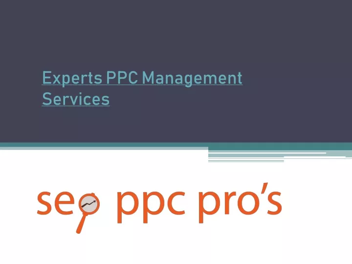 experts ppc management services