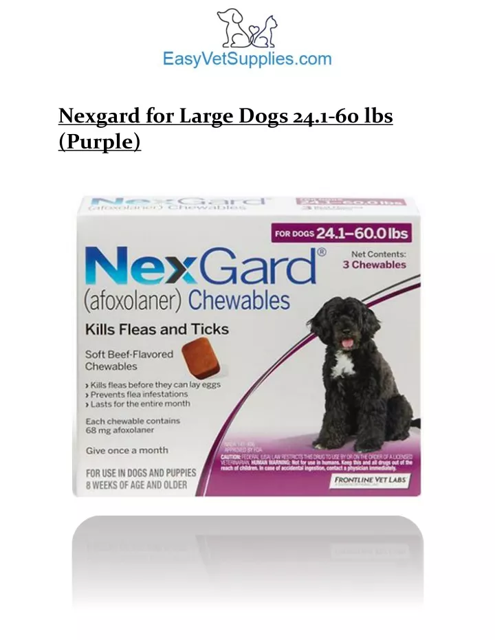nexgard for large dogs 24 1 60 lbs purple