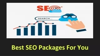Best SEO packages For You