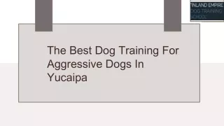 We Have The best dog training programs Yucaipa