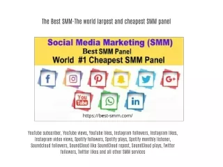 The Best SMM-The world largest and cheapest SMM panel