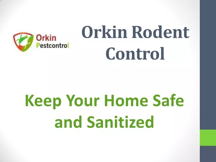 orkin rodent control