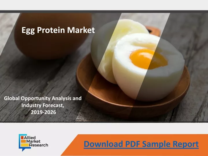 egg protein market
