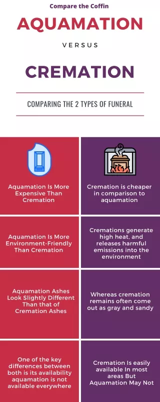Aquamation Vs. Cremation: Differences You Need To Know