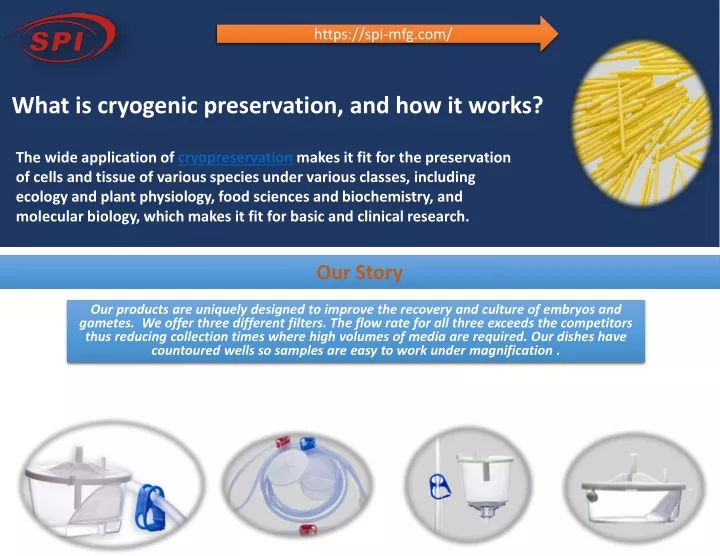 what is cryogenic preservation and how it works