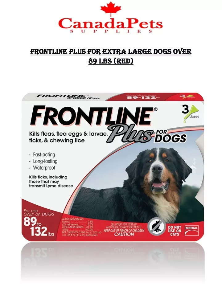 frontline plus for frontline plus for extra large