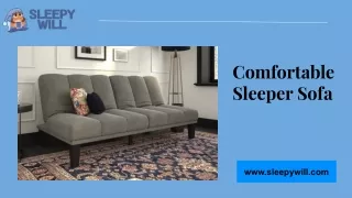 Comfortable Sleeper Sofa