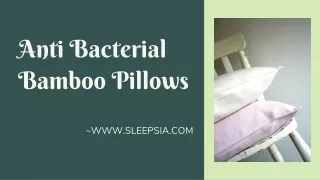 anti bacterial bamboo pillows