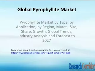 Pyrophyllite Market by Type, by Application, by Region, Maret,  Size, Share, Growth, Global Trends, Industry Analysis an