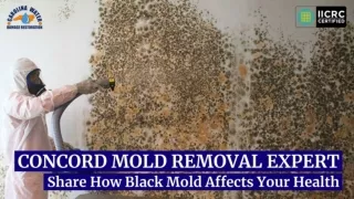 Concord Mold Removal Experts Share How Black Mold Affects Your Health
