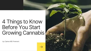 4 Things to Know Before You Start Growing Cannabis