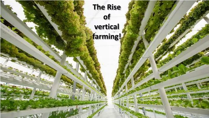 the rise of vertical farming