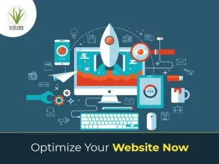 Optimize Your Website Now