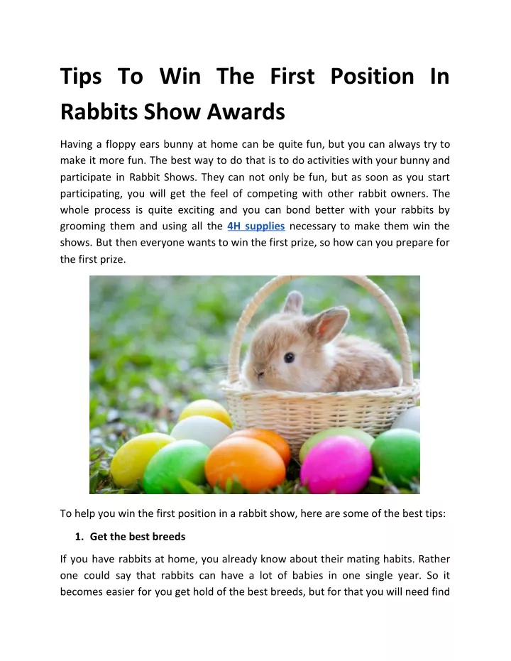 tips to win the first position in rabbits show