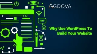 why use wordpress to build your website