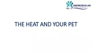 the heat and your pet the heat and your pet