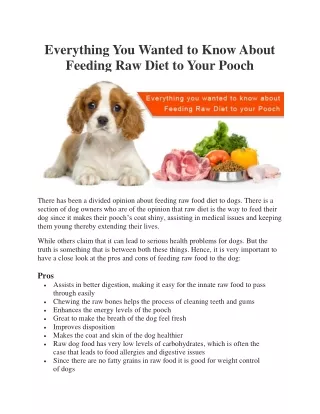 Everything You Wanted to Know About Feeding Raw Diet to Your Pooch