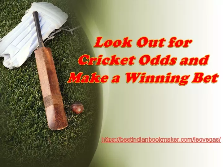 look out for cricket odds and make a winning bet