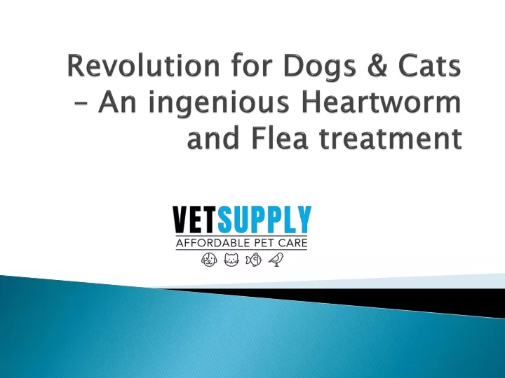 revolution for dogs cats an ingenious heartworm and flea treatment