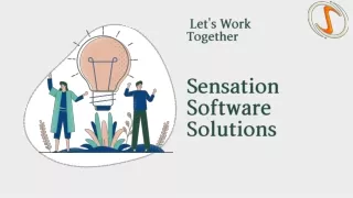 Software Testing - Sensation Software Solutions