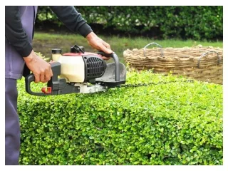 weed control experts in Perth